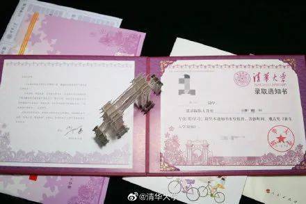 董卿罕见露面儿子学校，母子同框温馨画面引网友热议