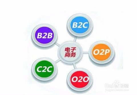 偏大数据的电子商务专业