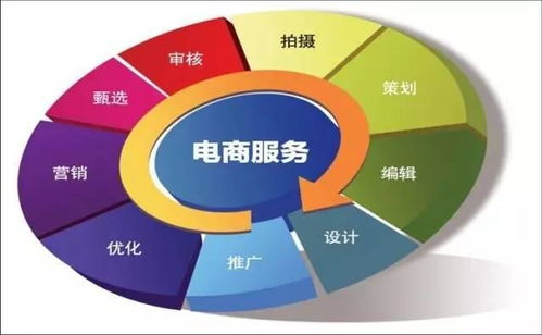 电子商务专业人才的需要