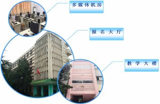 电子商务研究生专业名称