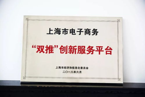 金山区专业电子商务价钱