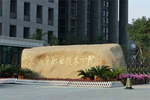 衡阳电子商务专业的大学