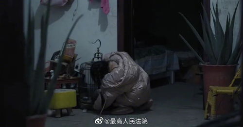 白发老人苹果店里打代码惊呆路人